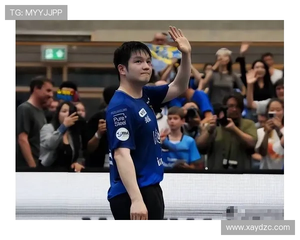 乒乓球德甲小组赛最新积分榜排名揭晓强队竞争激烈形势白热化